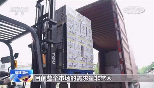 小白心里軟榮獲央視認可點贊