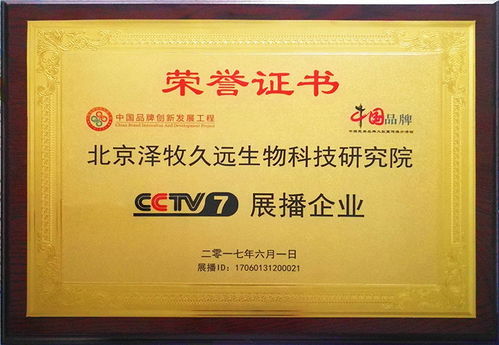 育肥羊飼料報價、廠家推薦與技術轉讓全解析